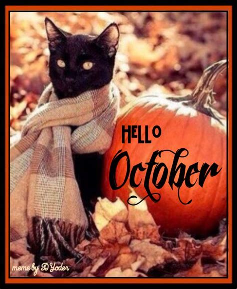 hello october memes|happy october memes.